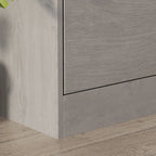Meuble à chaussures moderne pour entrée, meuble à chaussures de sol à 2 niveaux